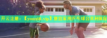 便宜家用乒乓球台其利体育