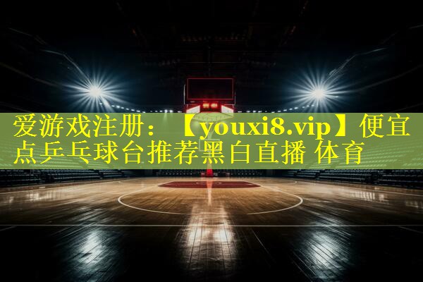 便宜点乒乓球台推荐黑白直播 体育